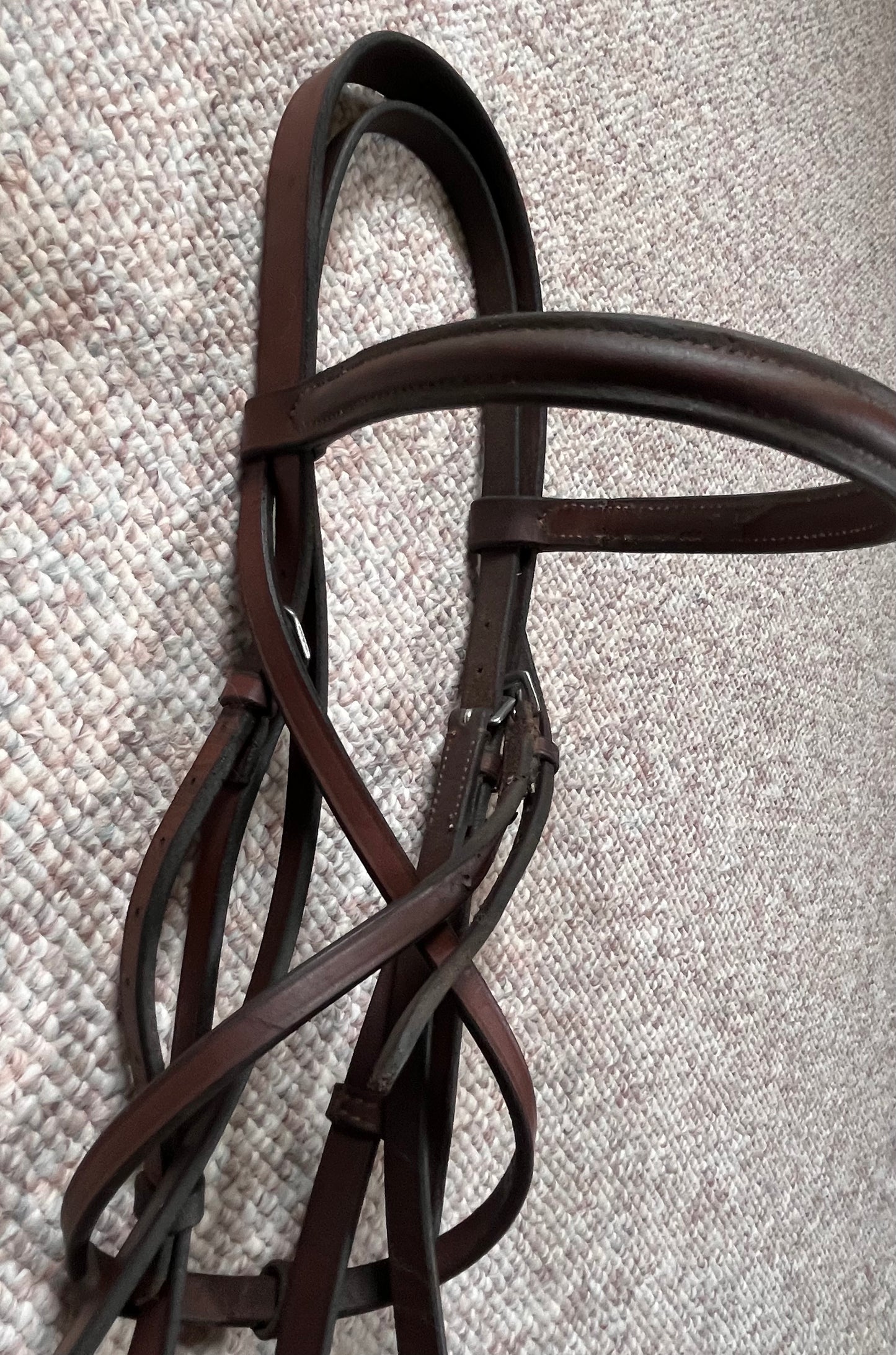 Hunter Jumper Raised Brown Snaffle Bridle Full