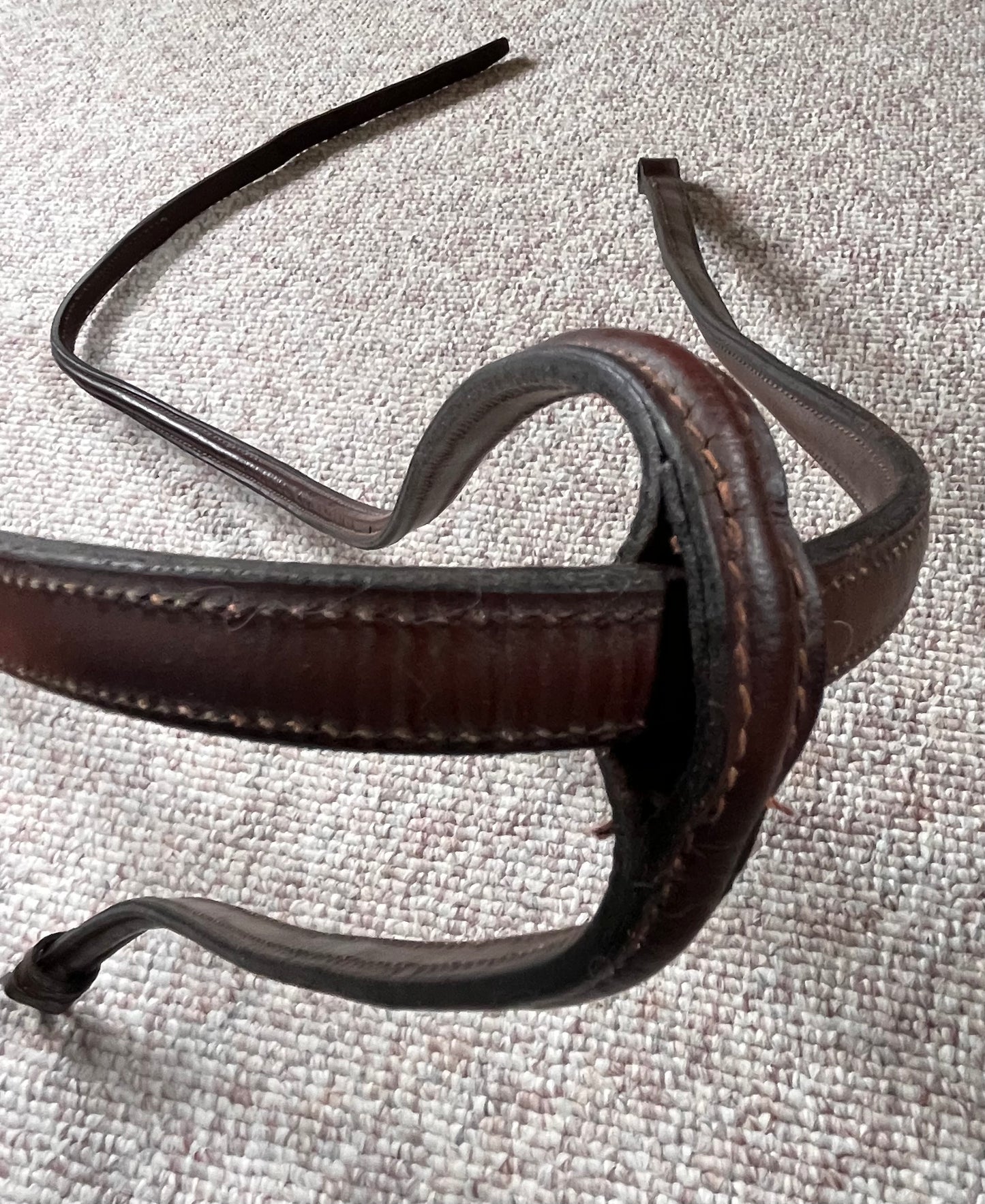 Havana Brown Standing Martingale Full