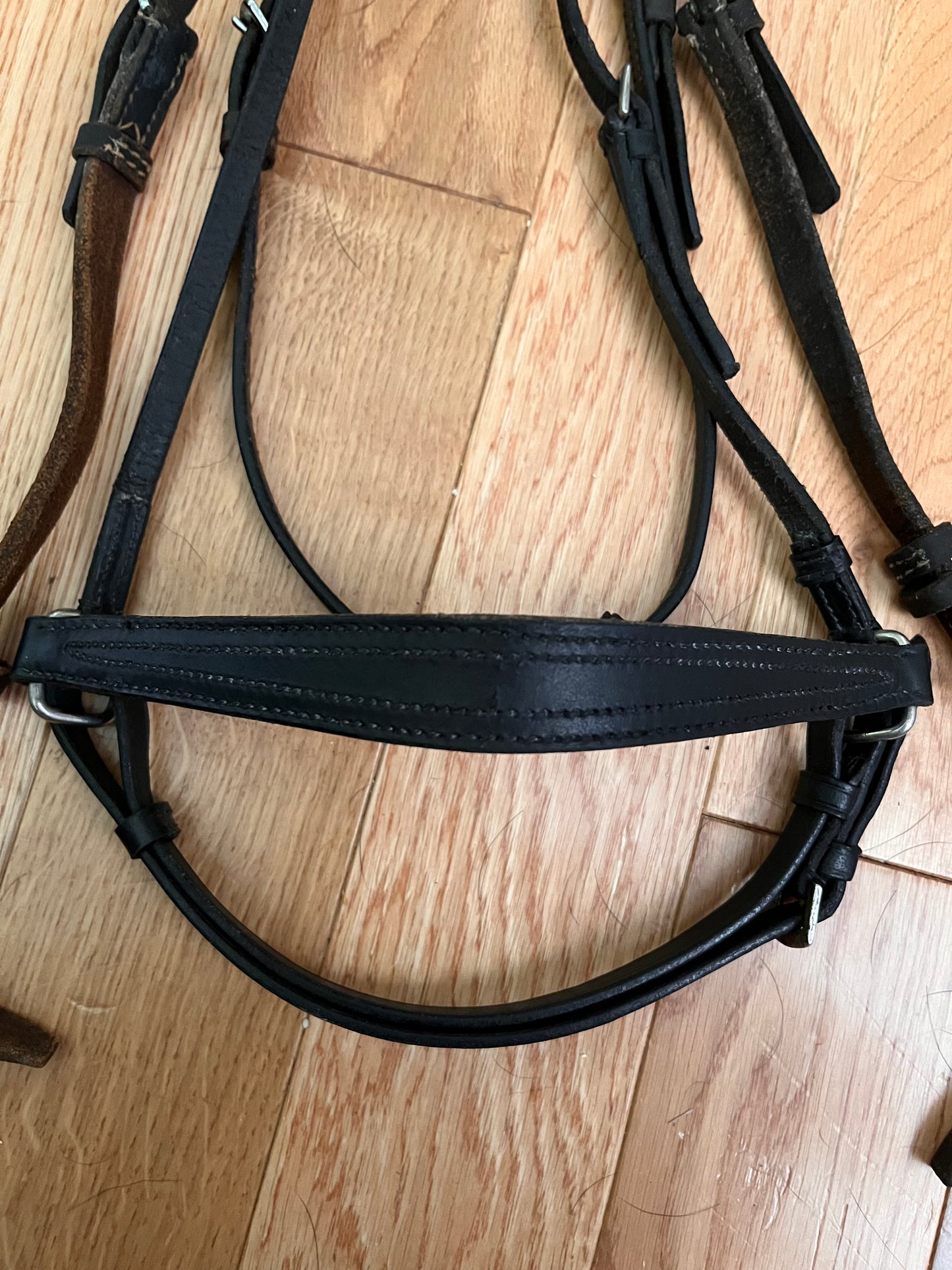 Dark Brown Horse Size Snaffle Bridle