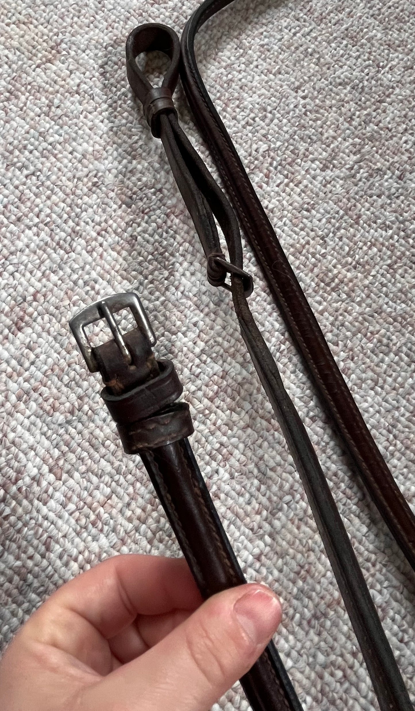 Havana Brown Standing Martingale Full