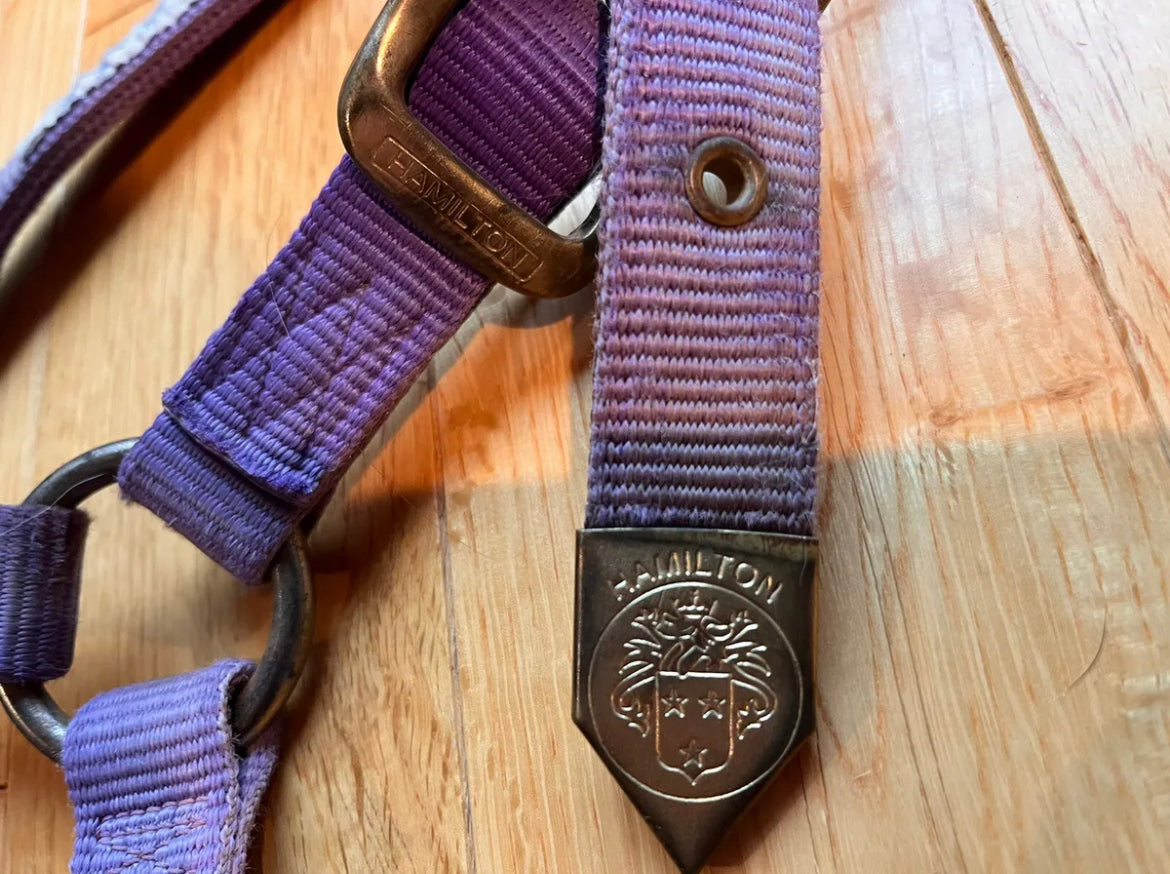 Hamilton Purple Halter Horse Size
