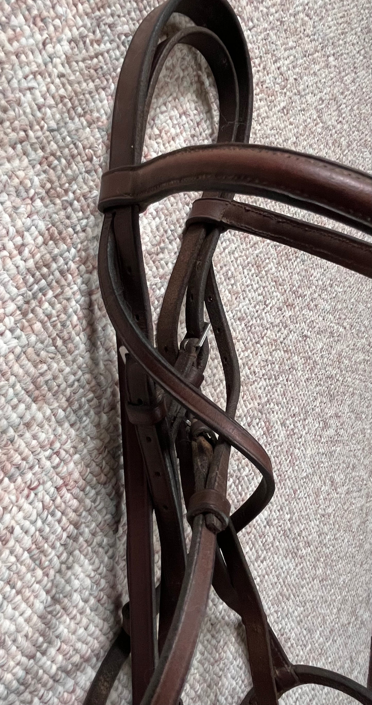 Hunter Jumper Raised Brown Snaffle Bridle Full