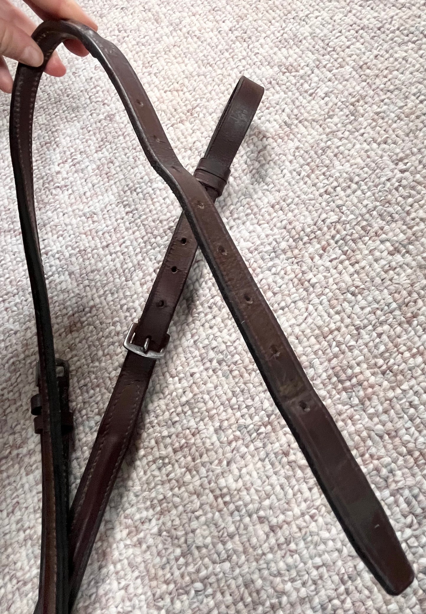 Havana Brown Standing Martingale Full