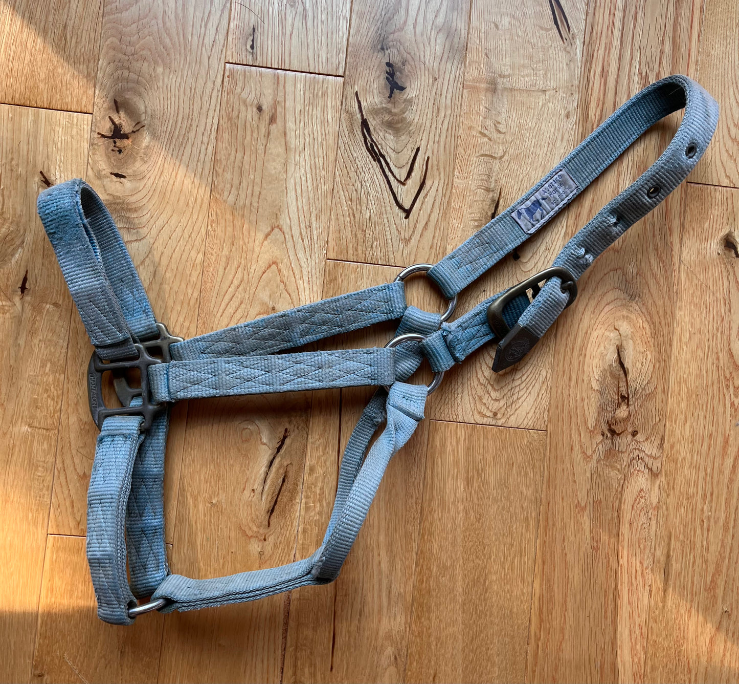 Blue Hamilton Horse Halter