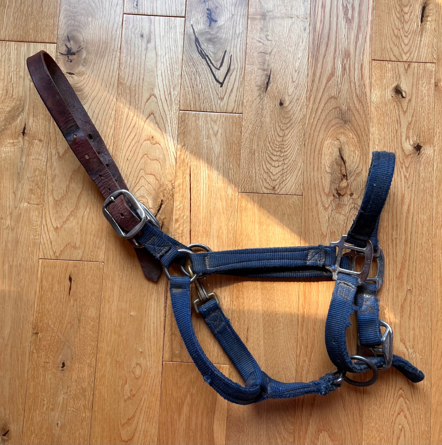 Dark Blue Leather Head Adjustable Nose Large Horse Halter