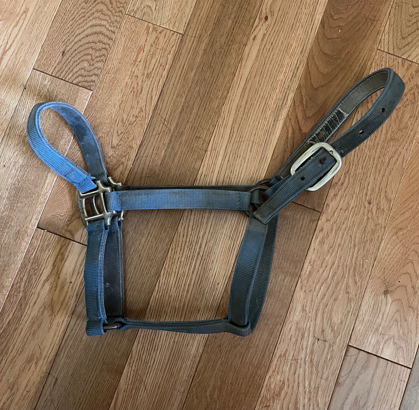 BMB Halter Blue Large Horse Size