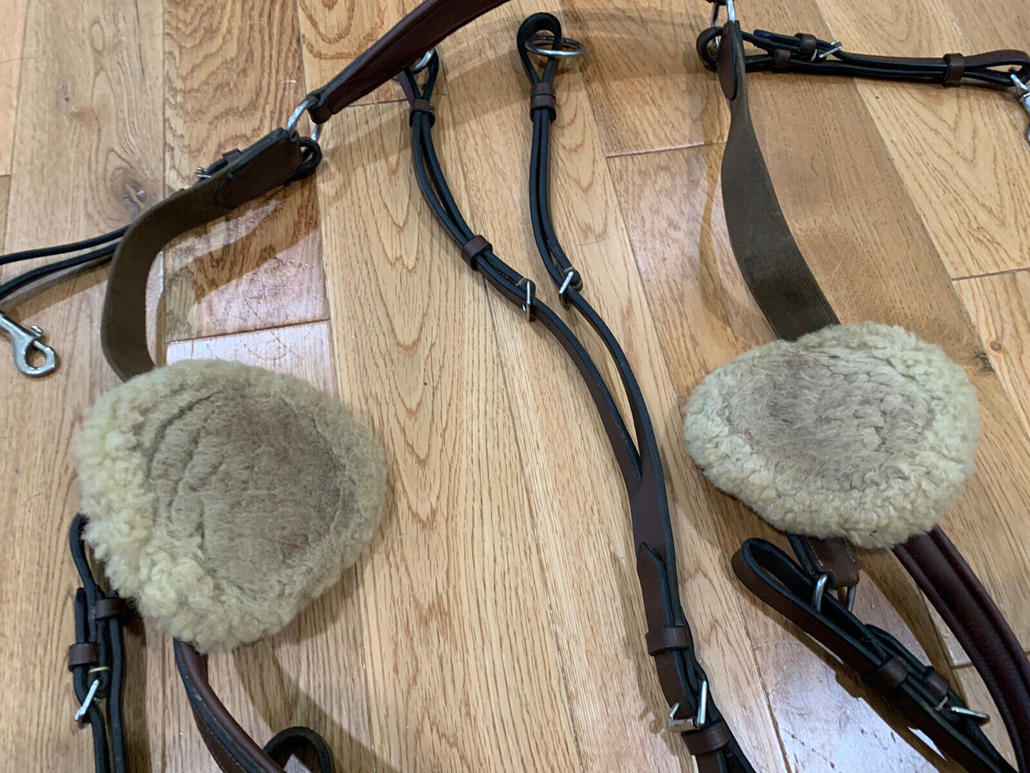 HDR Pro 5 Point Elastic Breastplate Martingale w/Running Attachment Horse Size