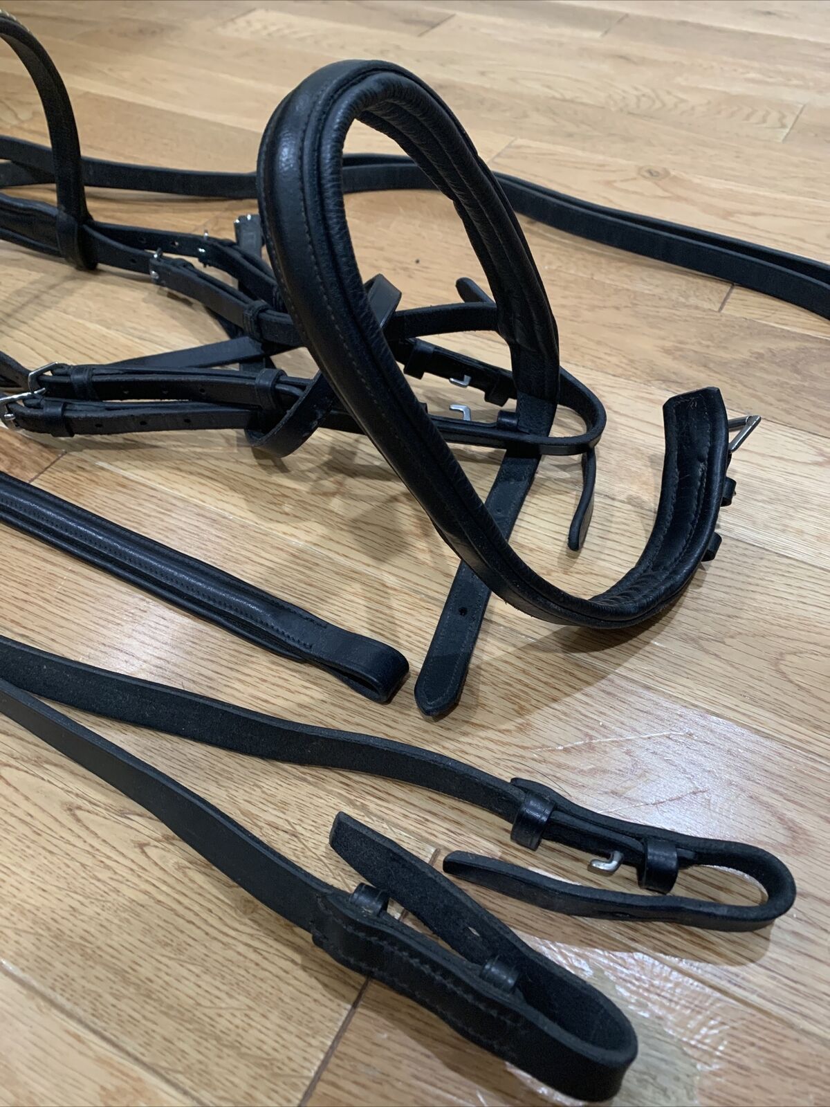 Dover Suffolk Single Crown Dressage Black Horse Bridle