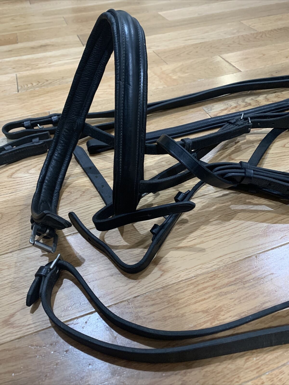 Dover Suffolk Single Crown Dressage Black Horse Bridle