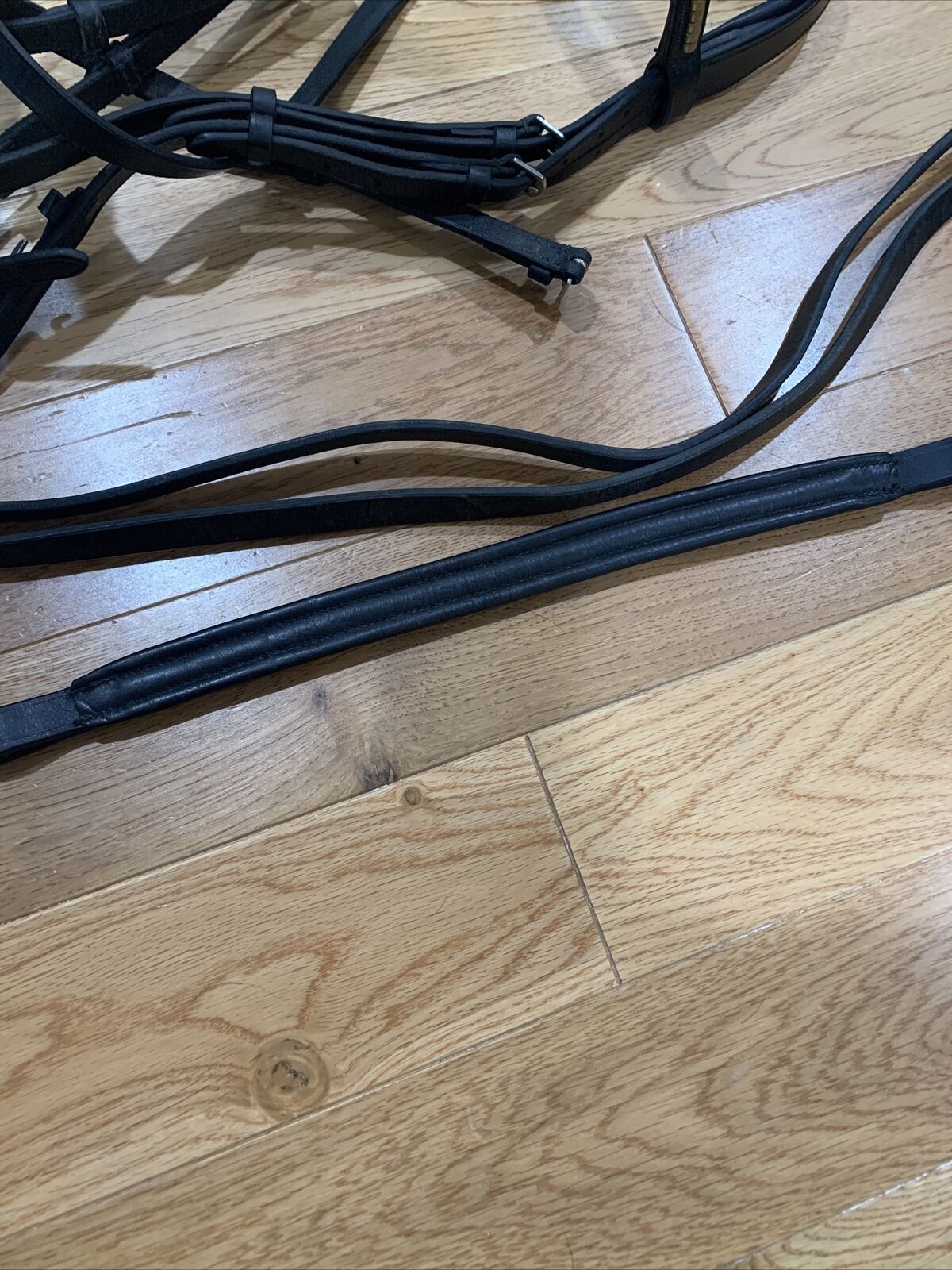 Dover Suffolk Single Crown Dressage Black Horse Bridle