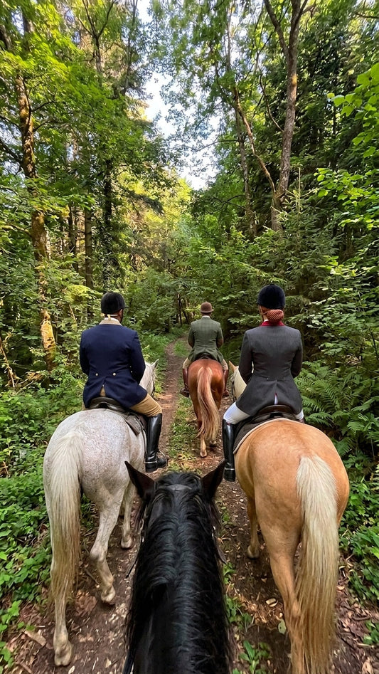 Finding Your Place at a New Horse Barn: Dealing With Barn Culture, Cliques & Comparison