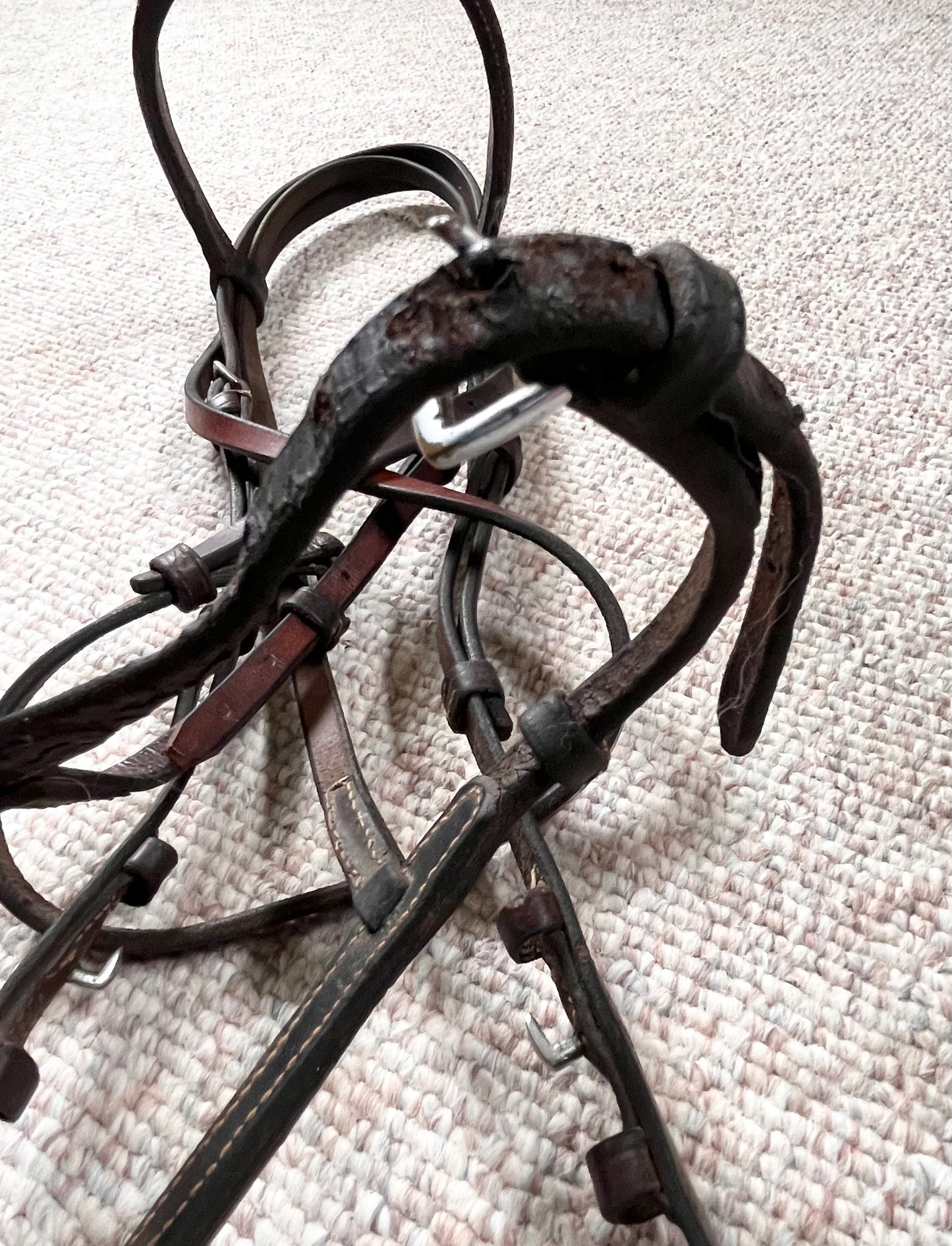 Hunter Jumper Raised Brown Snaffle Bridle Full