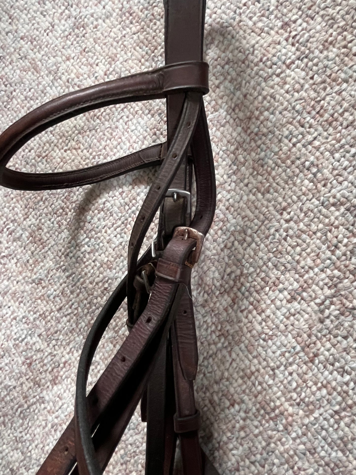Hunter Jumper Raised Brown Snaffle Bridle Full