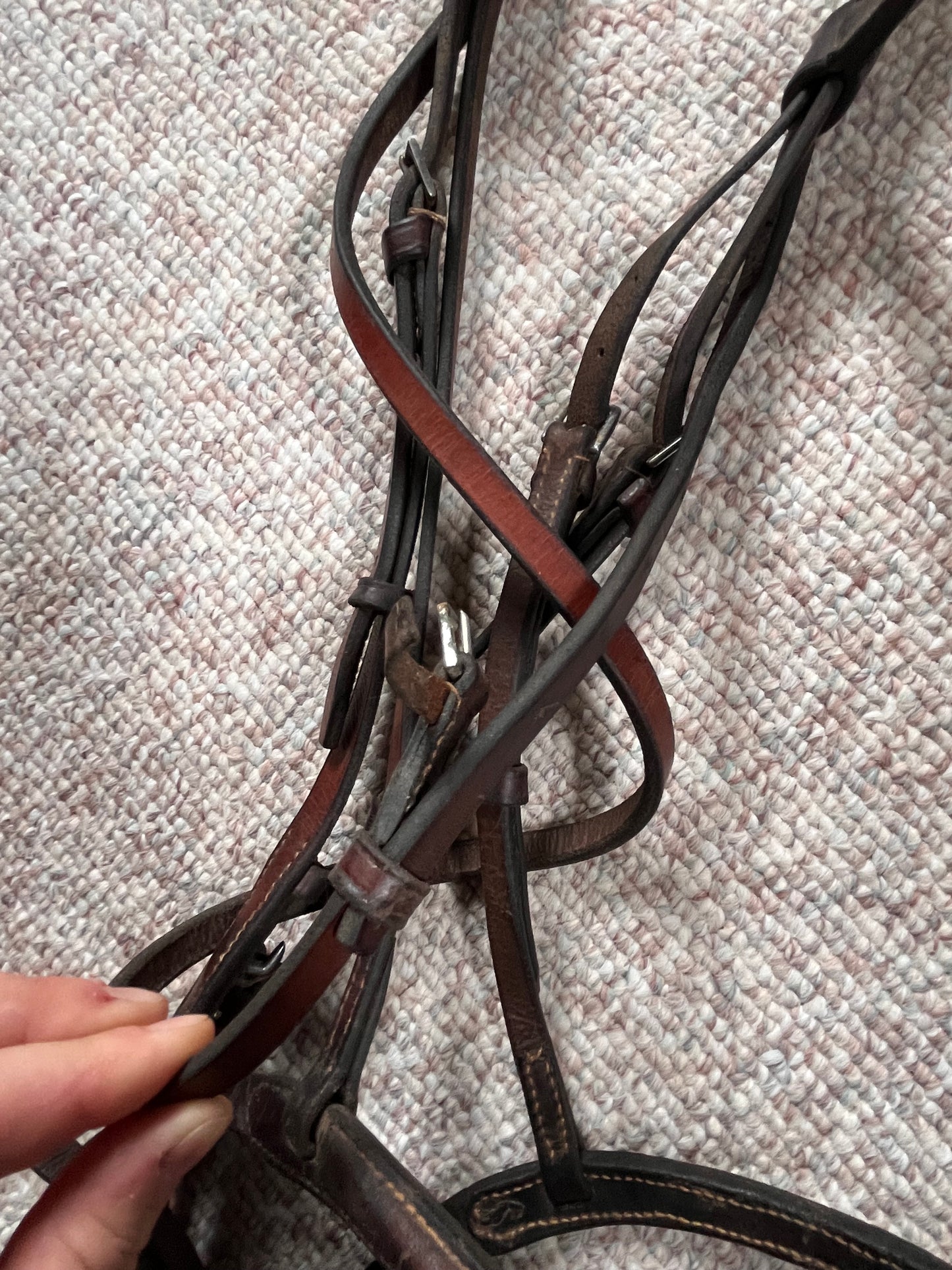 Hunter Jumper Raised Brown Snaffle Bridle Full