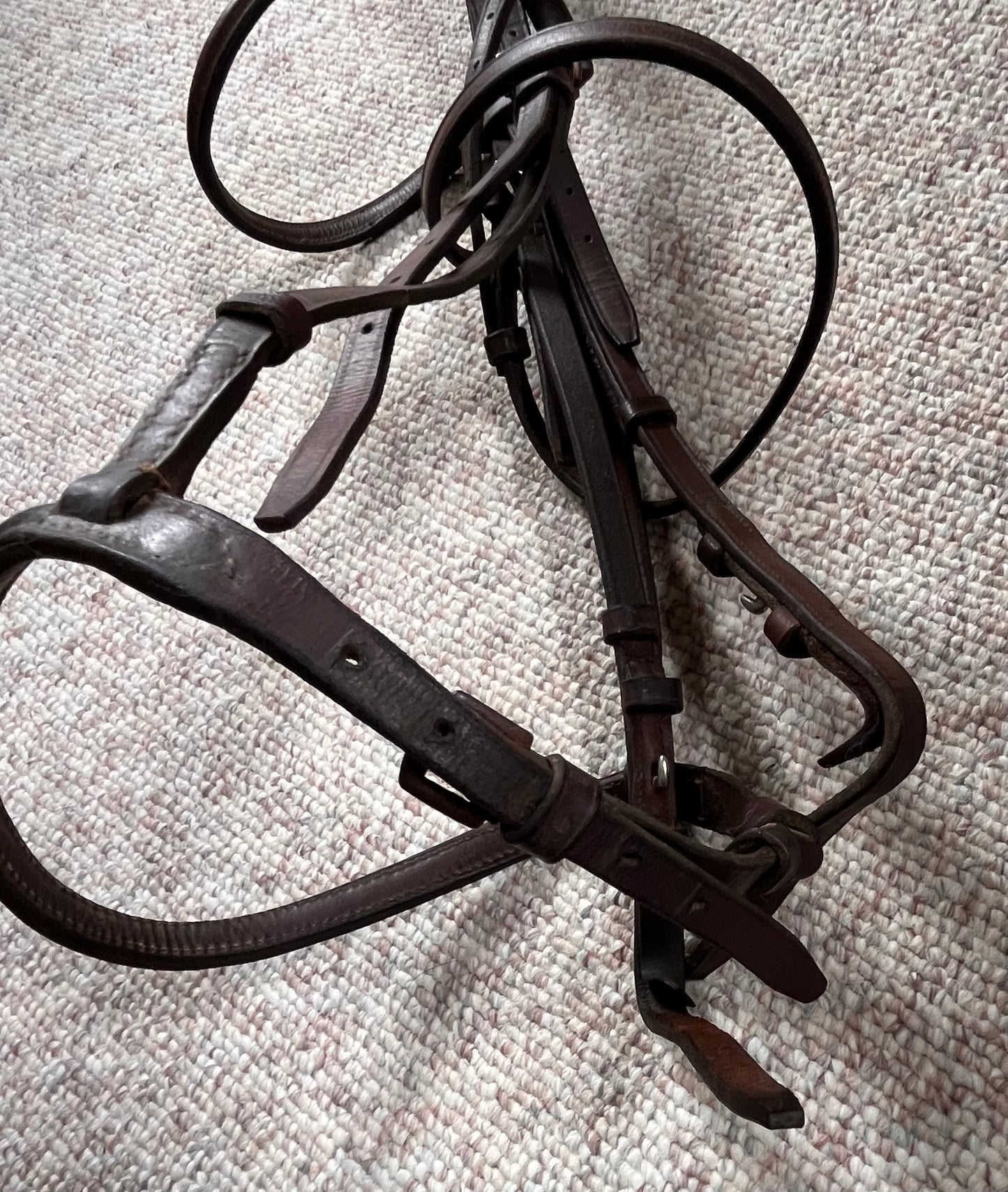 Hunter Jumper Raised Brown Snaffle Bridle Full