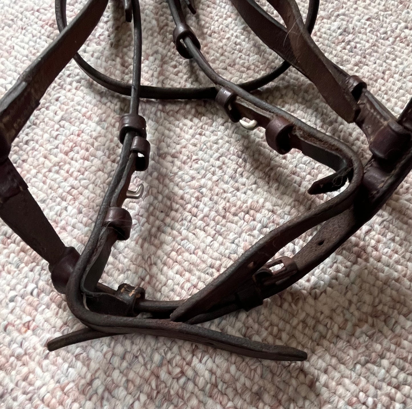 Hunter Jumper Raised Brown Snaffle Bridle Full