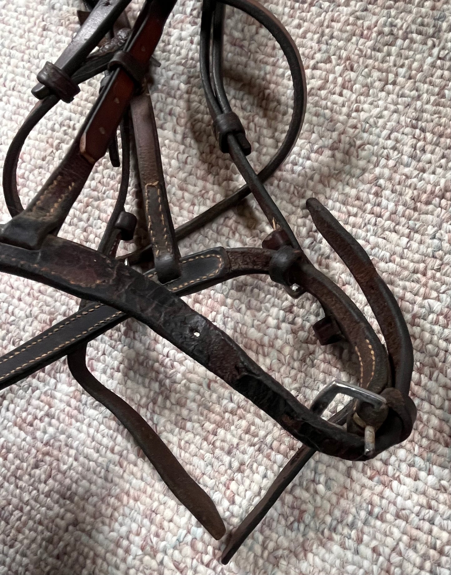Hunter Jumper Raised Brown Snaffle Bridle Full