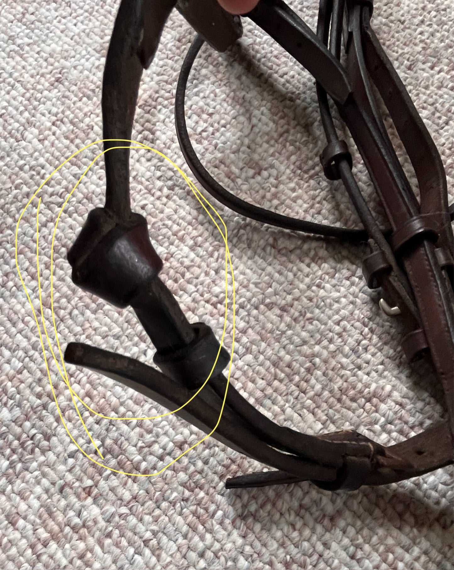 Hunter Jumper Raised Brown Snaffle Bridle Full