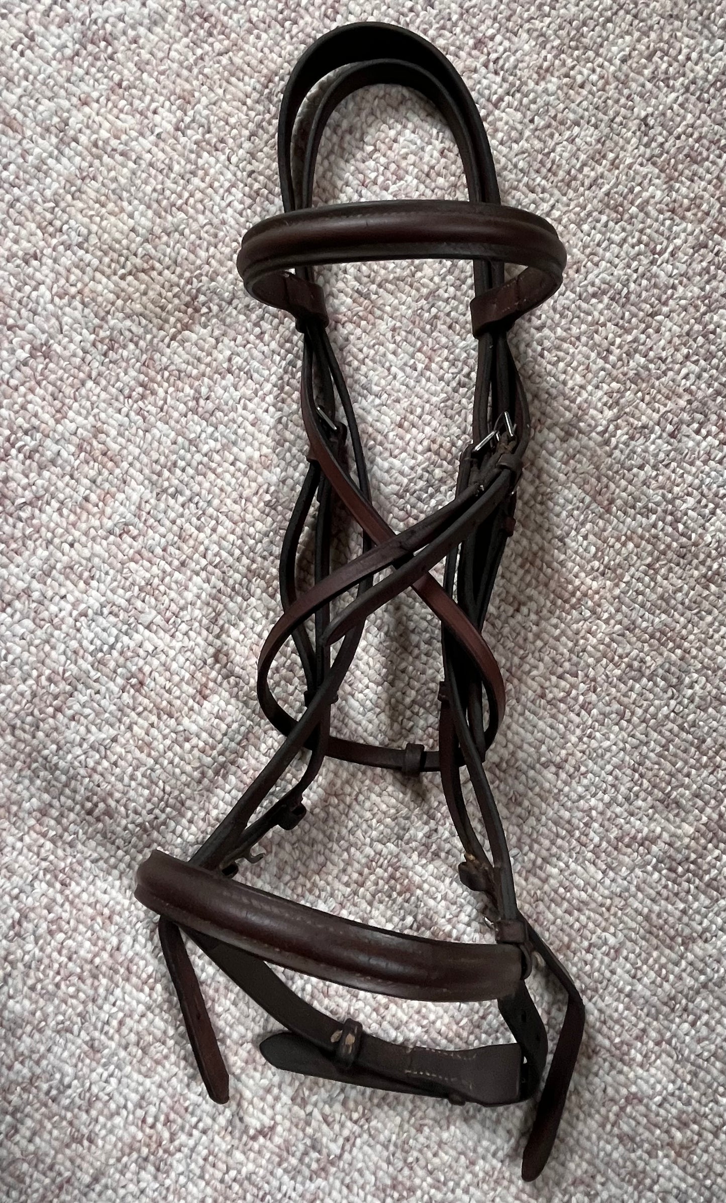 Hunter Jumper Raised Brown Snaffle Bridle Full