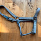 Blue Hamilton Horse Halter