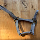 Stockmens Grey Foal Halter