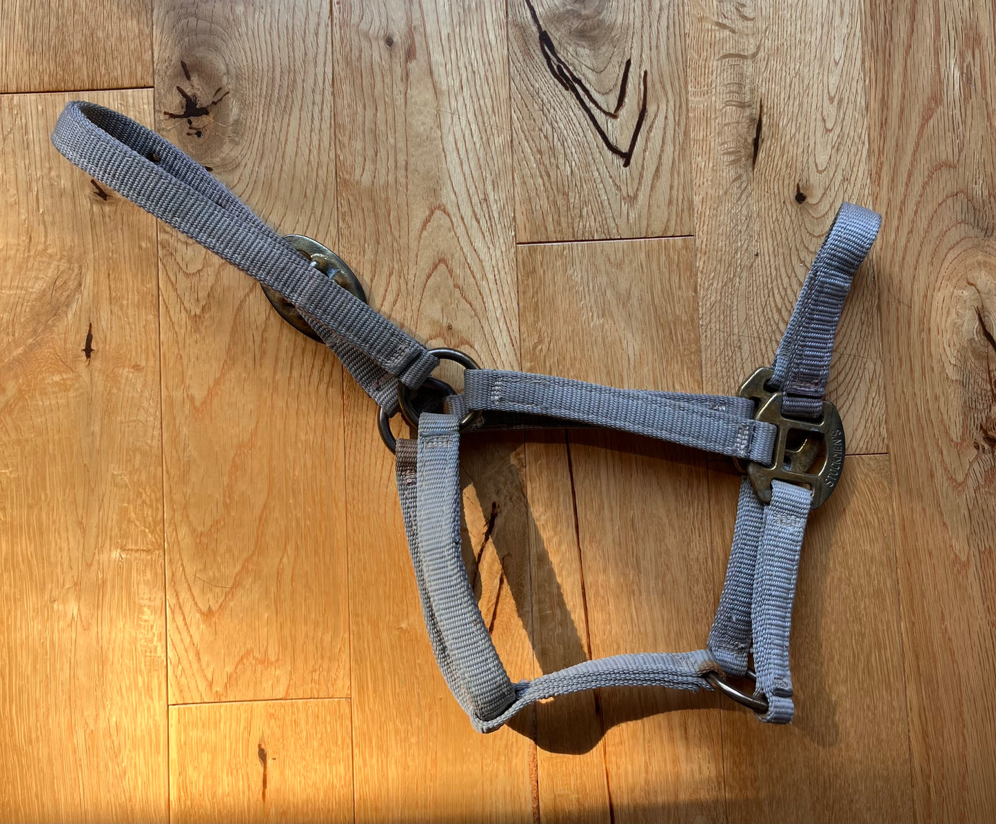 Stockmens Grey Foal Halter