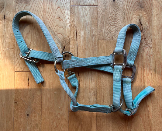 Green Pony Halter Adjustable Nose