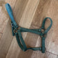 Big D Green Yearling Horse Halter