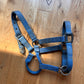 Hamilton Adjustable Nose Blue Yearling Horse Halter