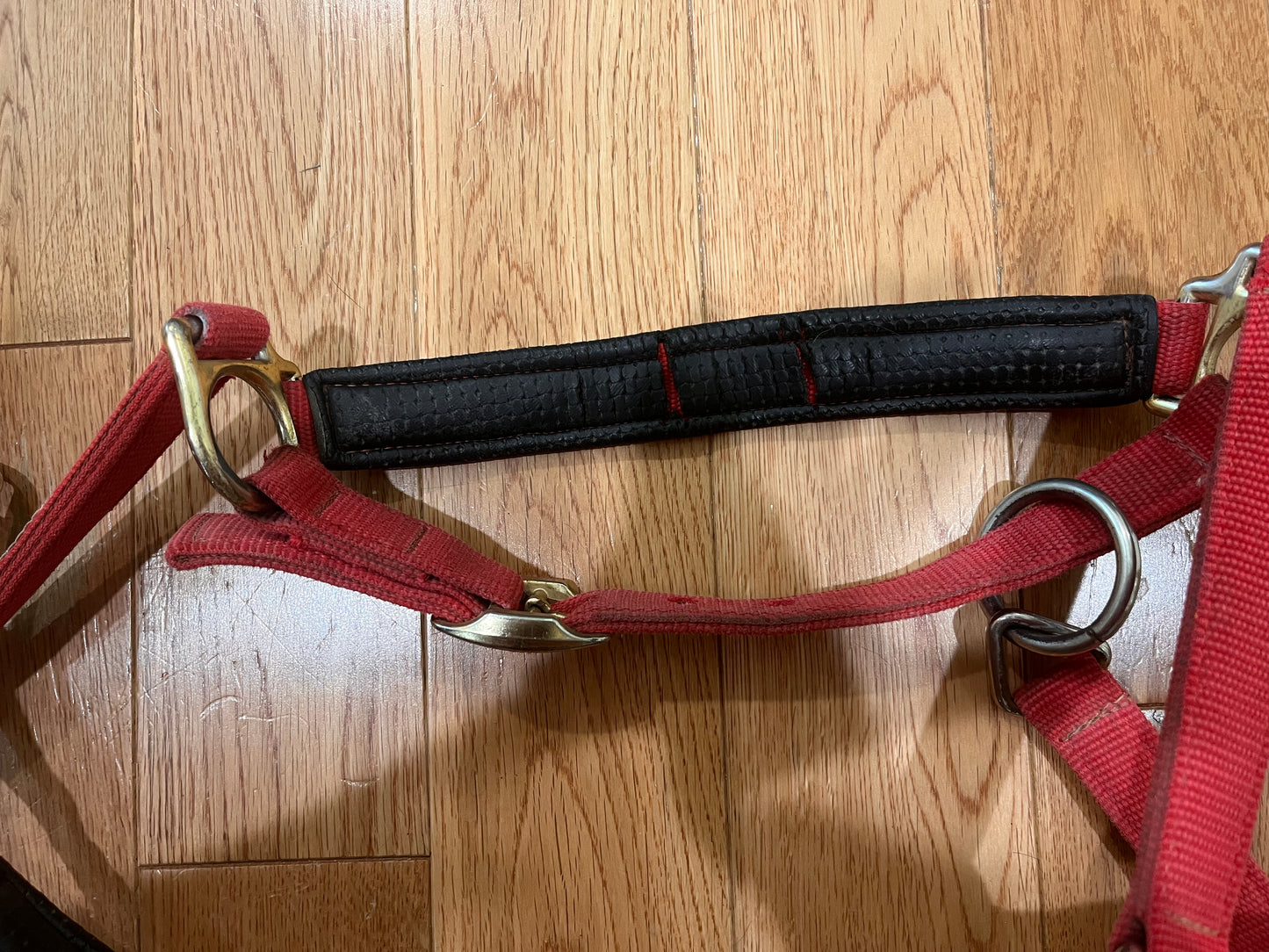 Weaver Padded Adjustable Breakaway Halter Red Horse Size