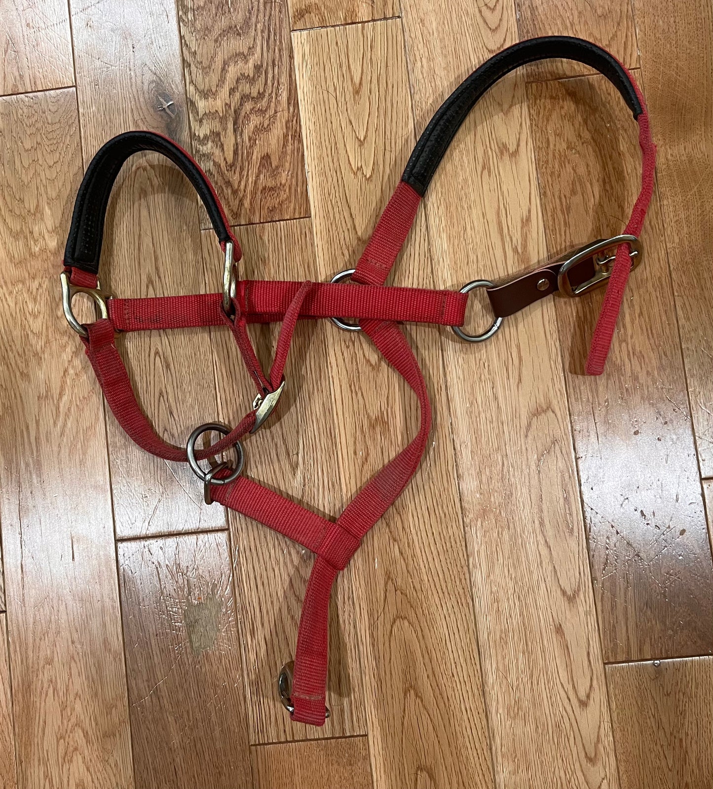 Weaver Padded Adjustable Breakaway Halter Red Horse Size