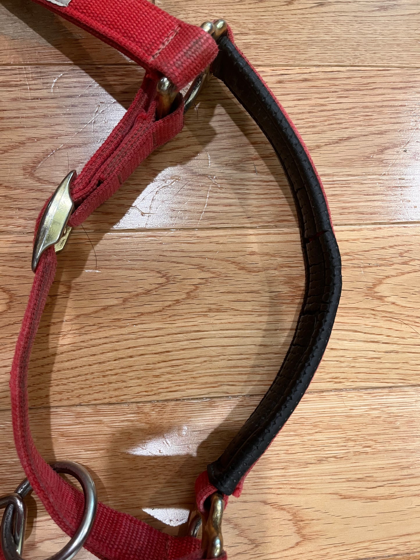 Weaver Padded Adjustable Breakaway Halter Red Horse Size