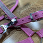 Pink Crystal Cob Nylon Show Halter
